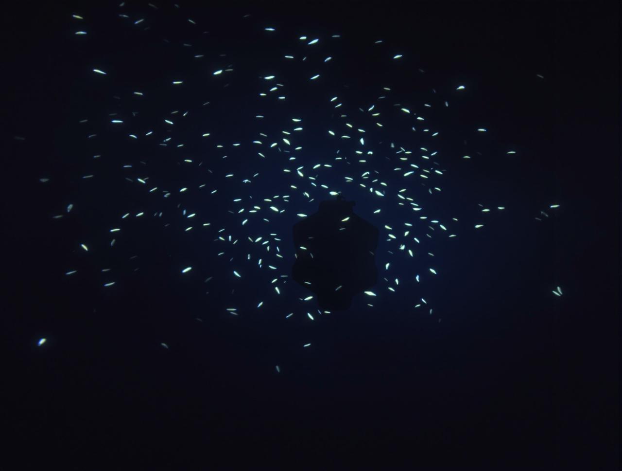 久青草影院纪录片：深海探秘观后感分享